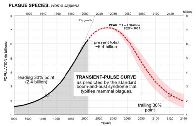 tranient_pulse_curve